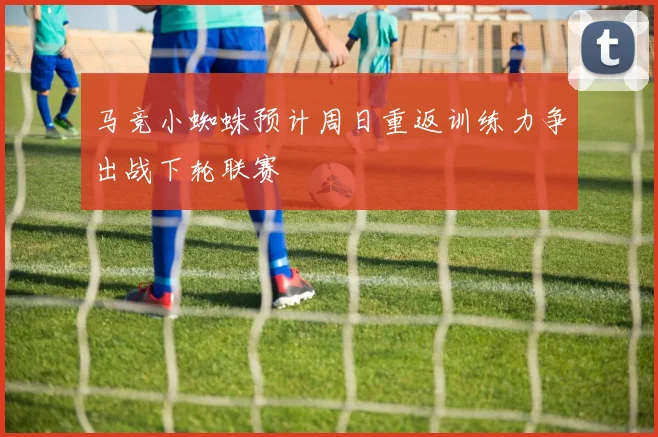 马竞小蜘蛛预计周日重返训练力争出战下轮联赛