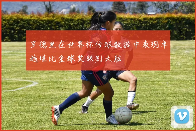 罗德里在世界杯传球数据中表现卓越堪比金球奖级别大脑