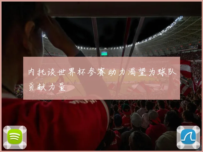 内托谈世界杯参赛动力渴望为球队贡献力量
